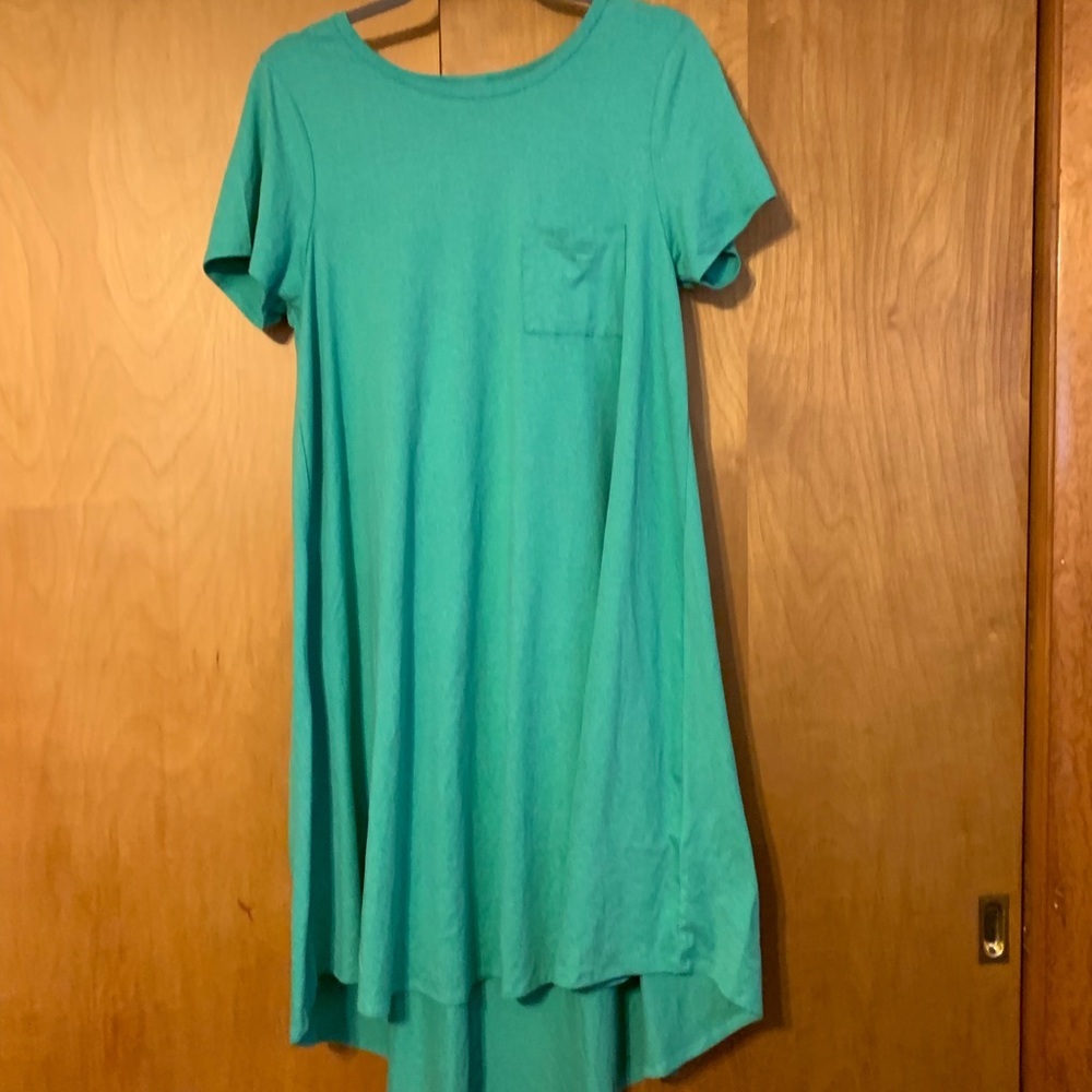 LulaRoe Carly Dress. Leggings Material!